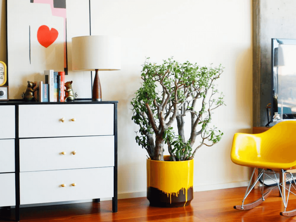 5 ý tưởng về nội thất để sống xanh và khỏe mạnh